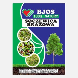 Soczewica brązowa nasiona 150g